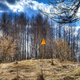 Chernobyl. Wikimedia Commons